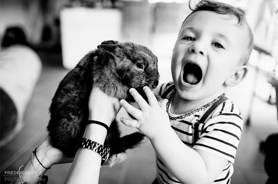 petit garçon jouant avec un lapin