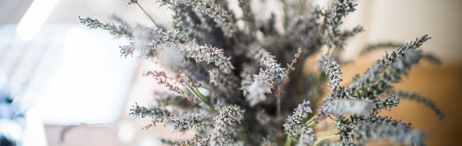 bouquet de lavande au domaine de la tour vaucros