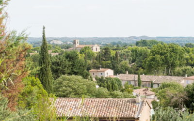 Reportage famille dans les Alpilles