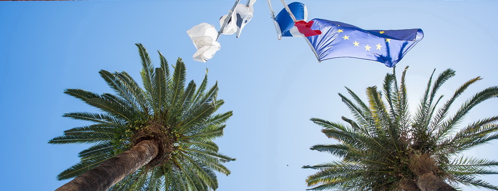 vue sur les palmiers devant la mairie d'ajaccio, juste avant ce mariage en Corse
